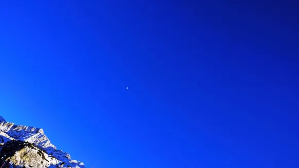 كازينو بيت روكر الدعم